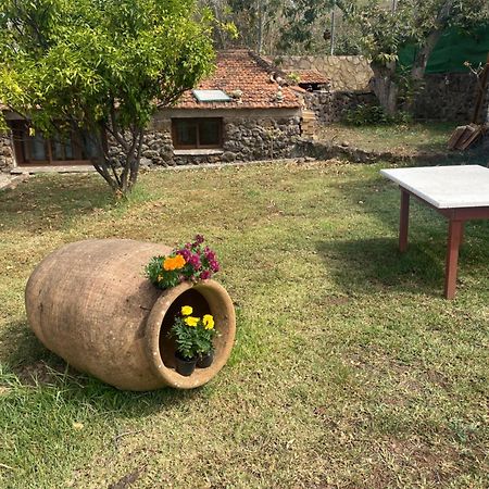 Rural House To Take A Break, La Serreria 25 - Private Garden 타코론테 외부 사진