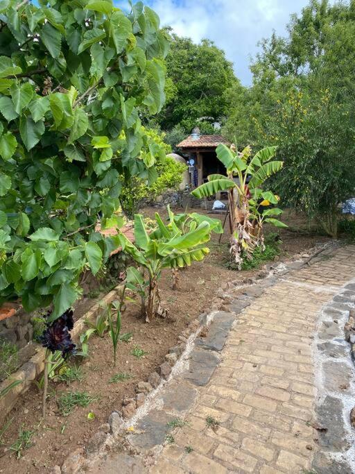 Rural House To Take A Break, La Serreria 25 - Private Garden 타코론테 외부 사진