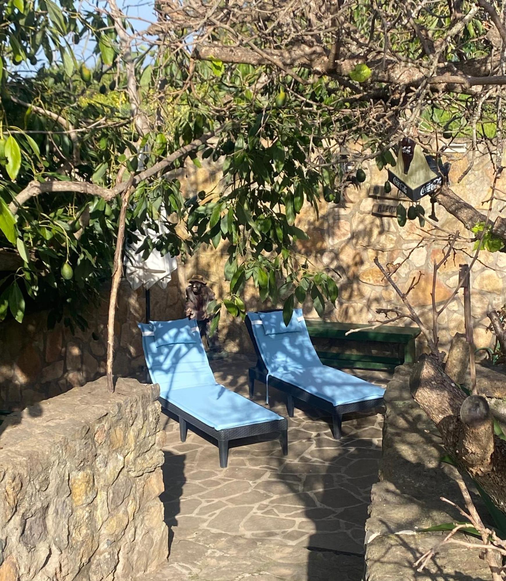 Rural House To Take A Break, La Serreria 25 - Private Garden 타코론테 외부 사진