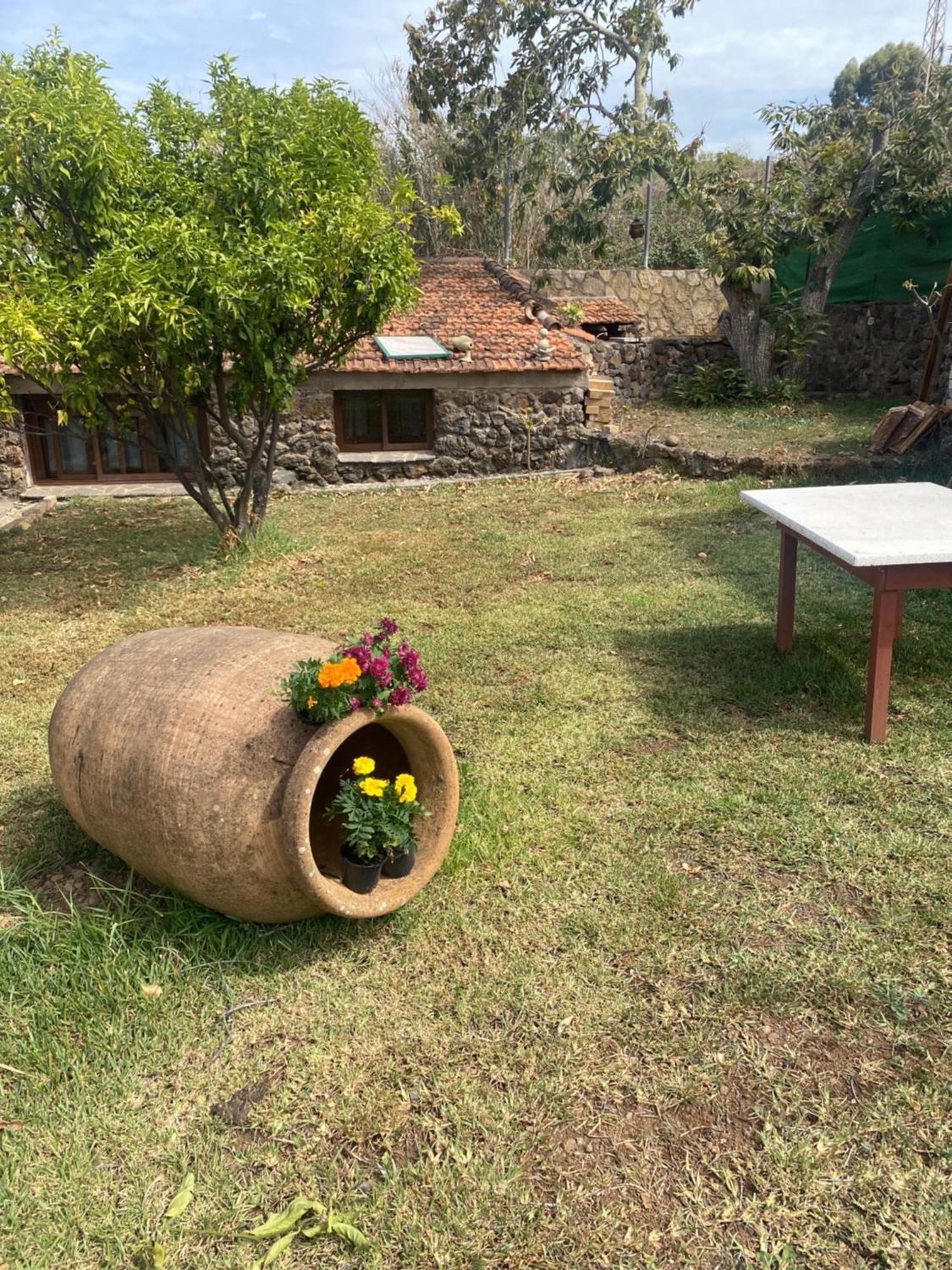 Rural House To Take A Break, La Serreria 25 - Private Garden 타코론테 외부 사진