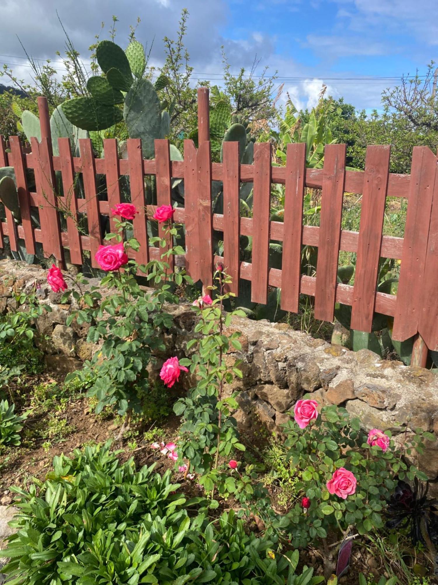 Rural House To Take A Break, La Serreria 25 - Private Garden 타코론테 외부 사진