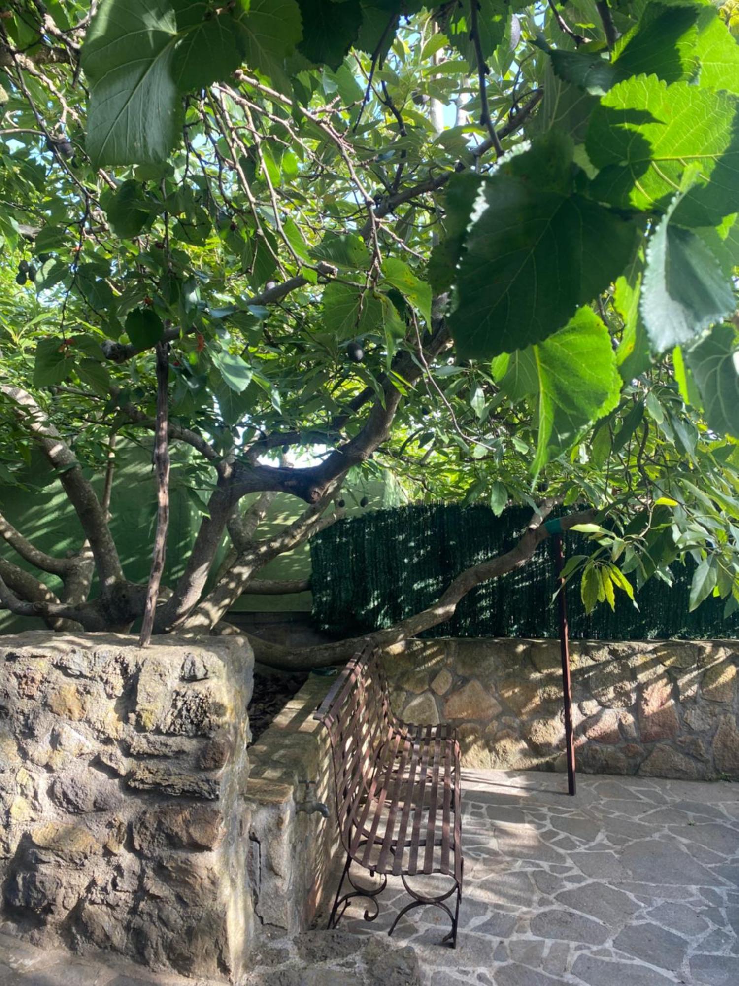 Rural House To Take A Break, La Serreria 25 - Private Garden 타코론테 외부 사진